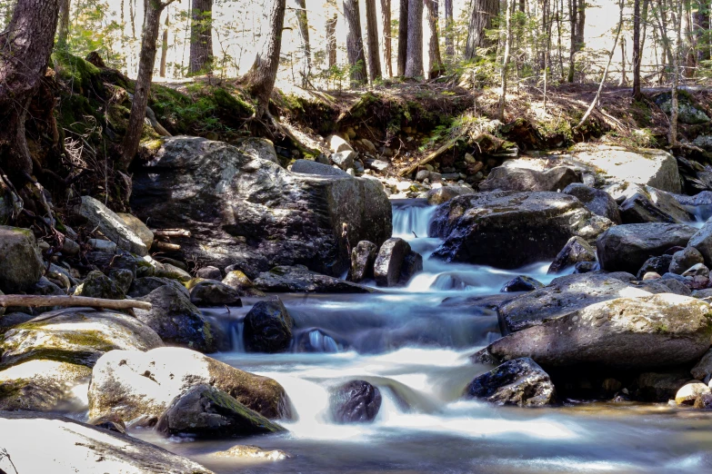 a small mountain stream in a forest filled with rocks