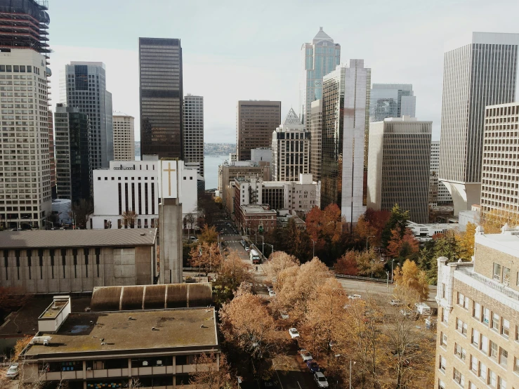 a city with lots of tall buildings and lots of trees