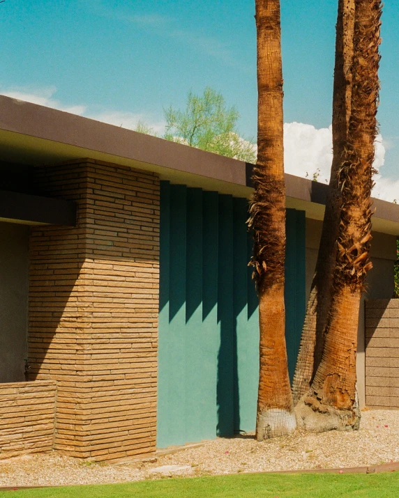 a palm tree near two modern brick buildings