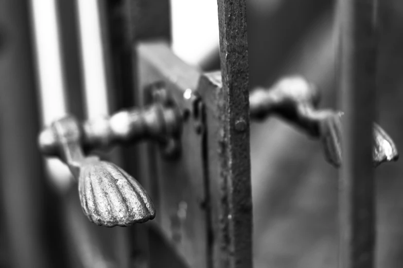 black and white image of an opened security gate