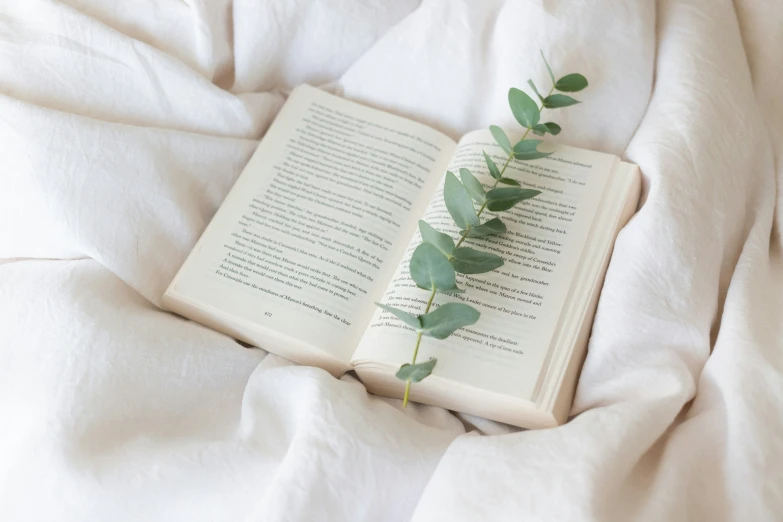 a book with leafy writing on top of white sheets