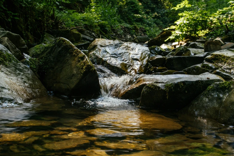 water running down rocks near forest area