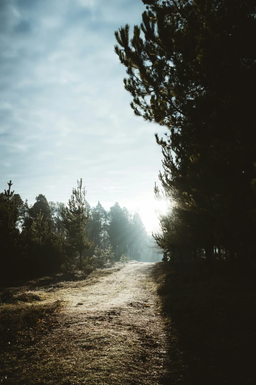 a long path goes into a light on a beautiful day