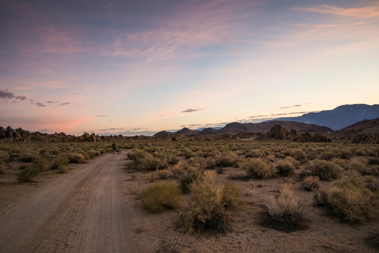 a dirt road with grass bushes and mountains behind it