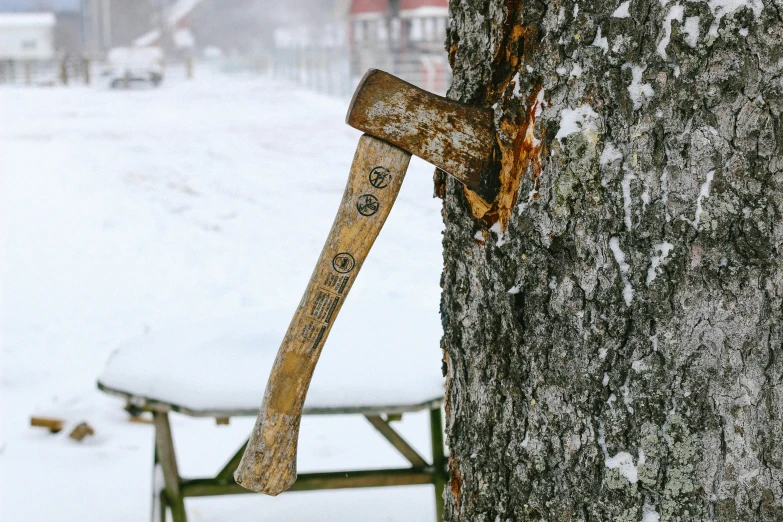 an old axe stuck in the bark of a tree