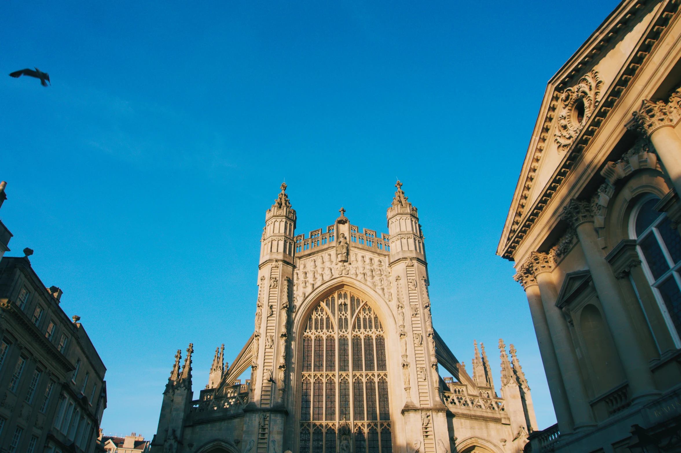 large cathedral style building with a bird flying close by