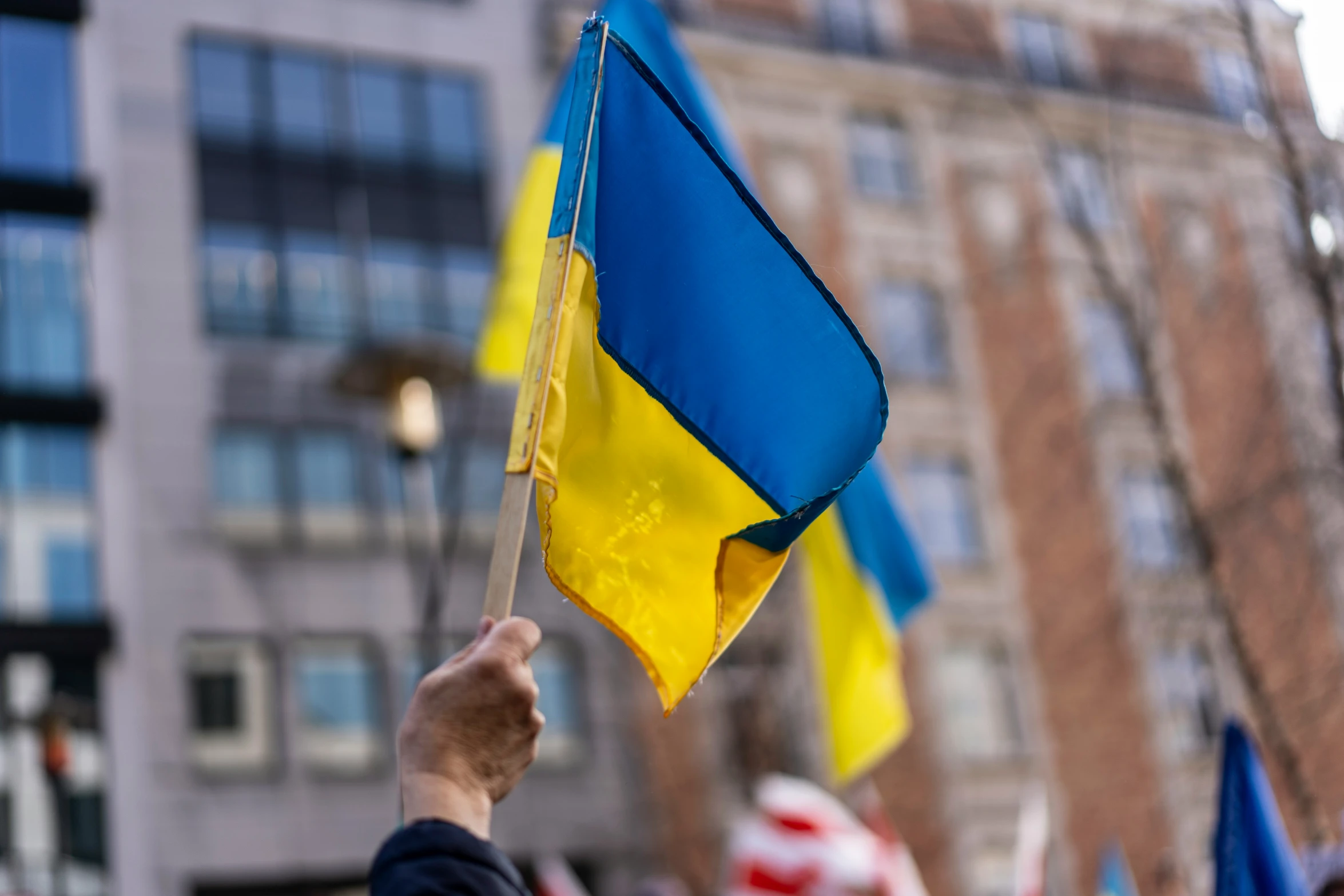 a person holding a flag at a demonstration