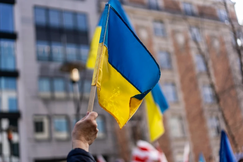 a person holding a flag at a demonstration