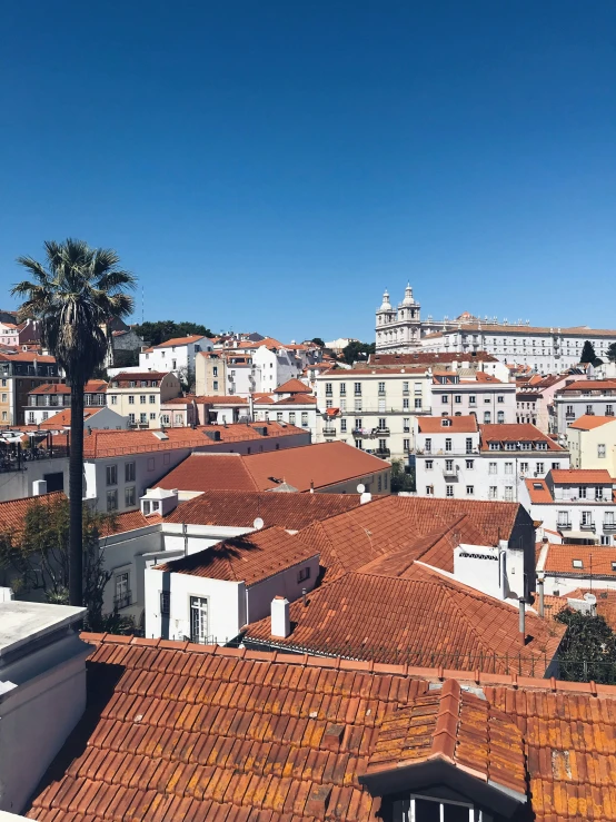 the roofs and rooftop of an old european city