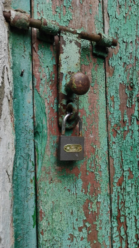 an old door handle and padlock with moss
