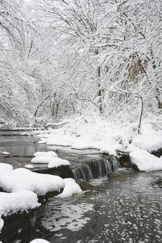 a river flowing next to some snowy trees