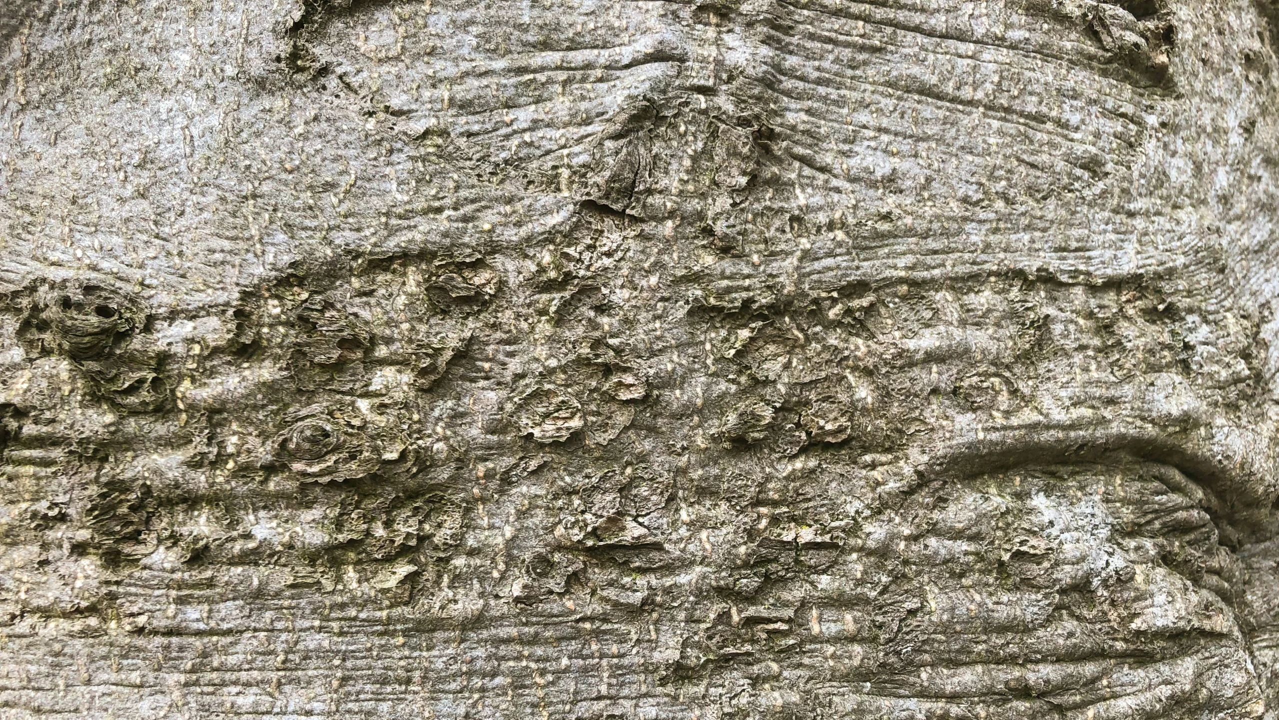 a stone pillar covered in dirt next to a tree