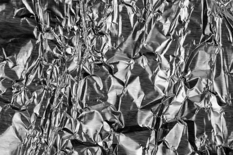 a black and white po of leaves on a wall