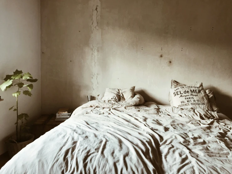 a white bed covered in two pillows next to a plant