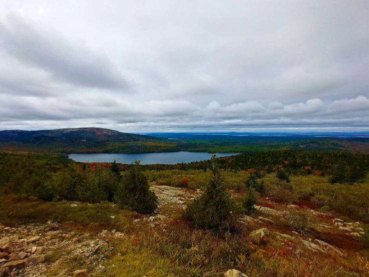 a view of a large lake near some green trees