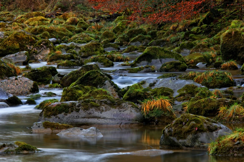 a stream running between some mossy rocks