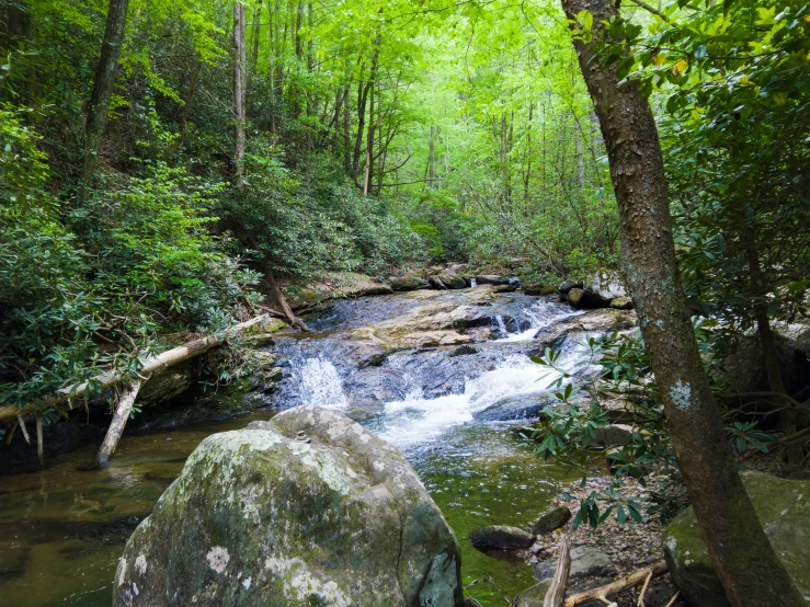 water running in a small stream that has a few rocks beside it