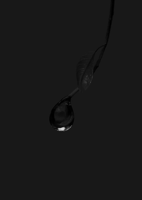 an image of a drop of water with leaves
