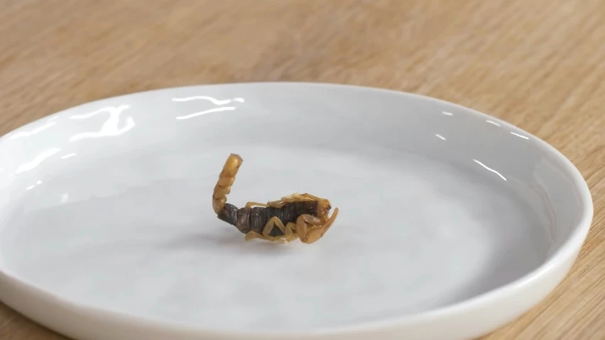 a black and yellow crab on a white dish