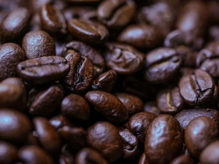 a pile of roasted coffee beans in a pile