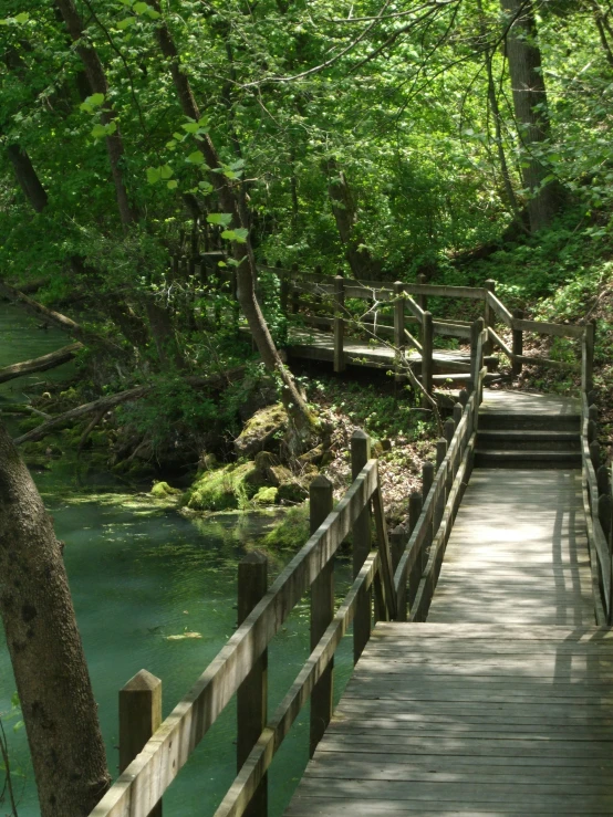 a wooden walkway leading through the woods into a creek