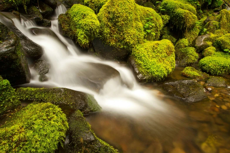 the water is flowing over mossy rocks and stones