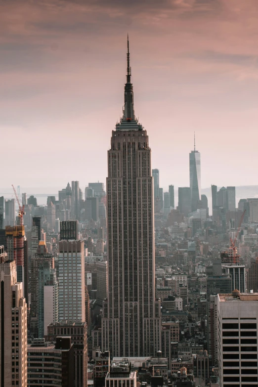 the view of tall buildings in a large city