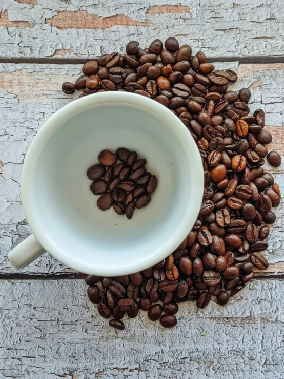 a cup that is next to some coffee beans