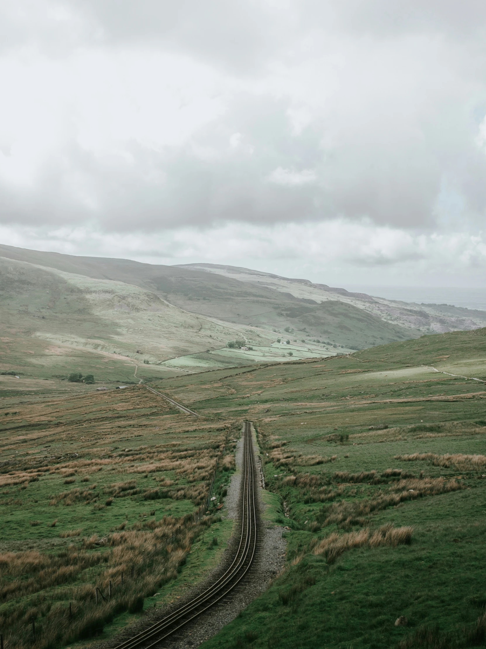 a single train traveling down tracks through a lush green countryside