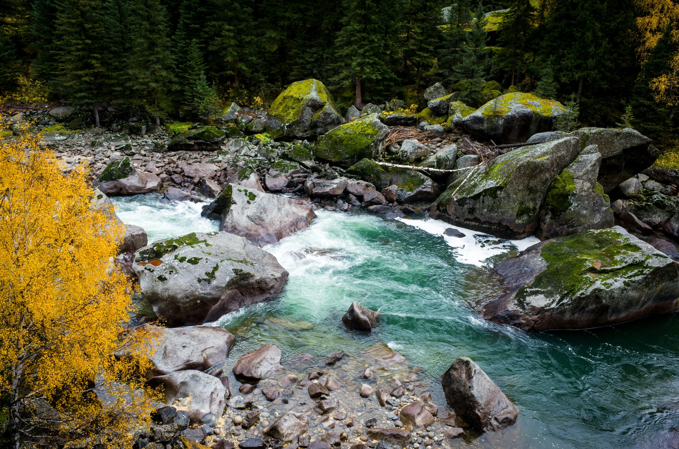 a river filled with rocks and water surrounded by green trees