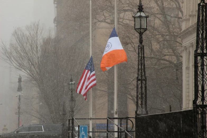 two flags on a pole with a light pole behind them