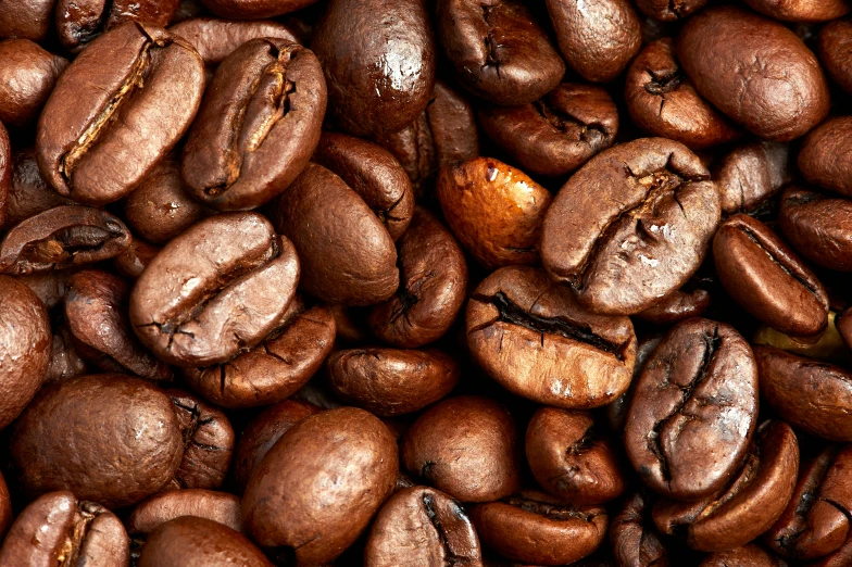 lots of brown coffee beans on a table