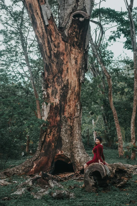 a person is sitting on top of a log in the woods