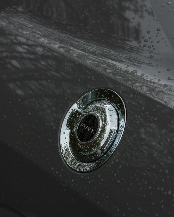 a black and white po of a rain - soaked shower