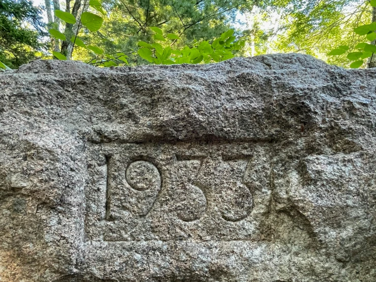 large stone with carvings in it near trees