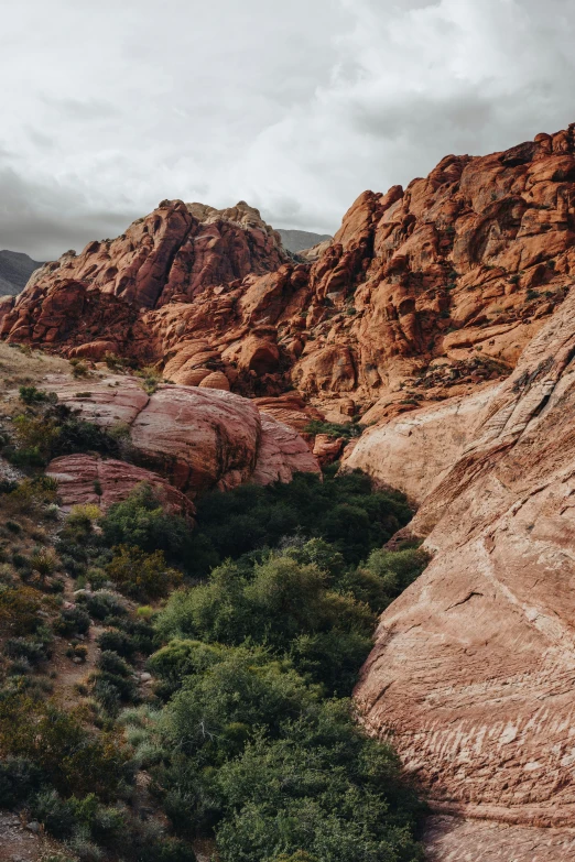 a very rocky canyon is surrounded by some bushes