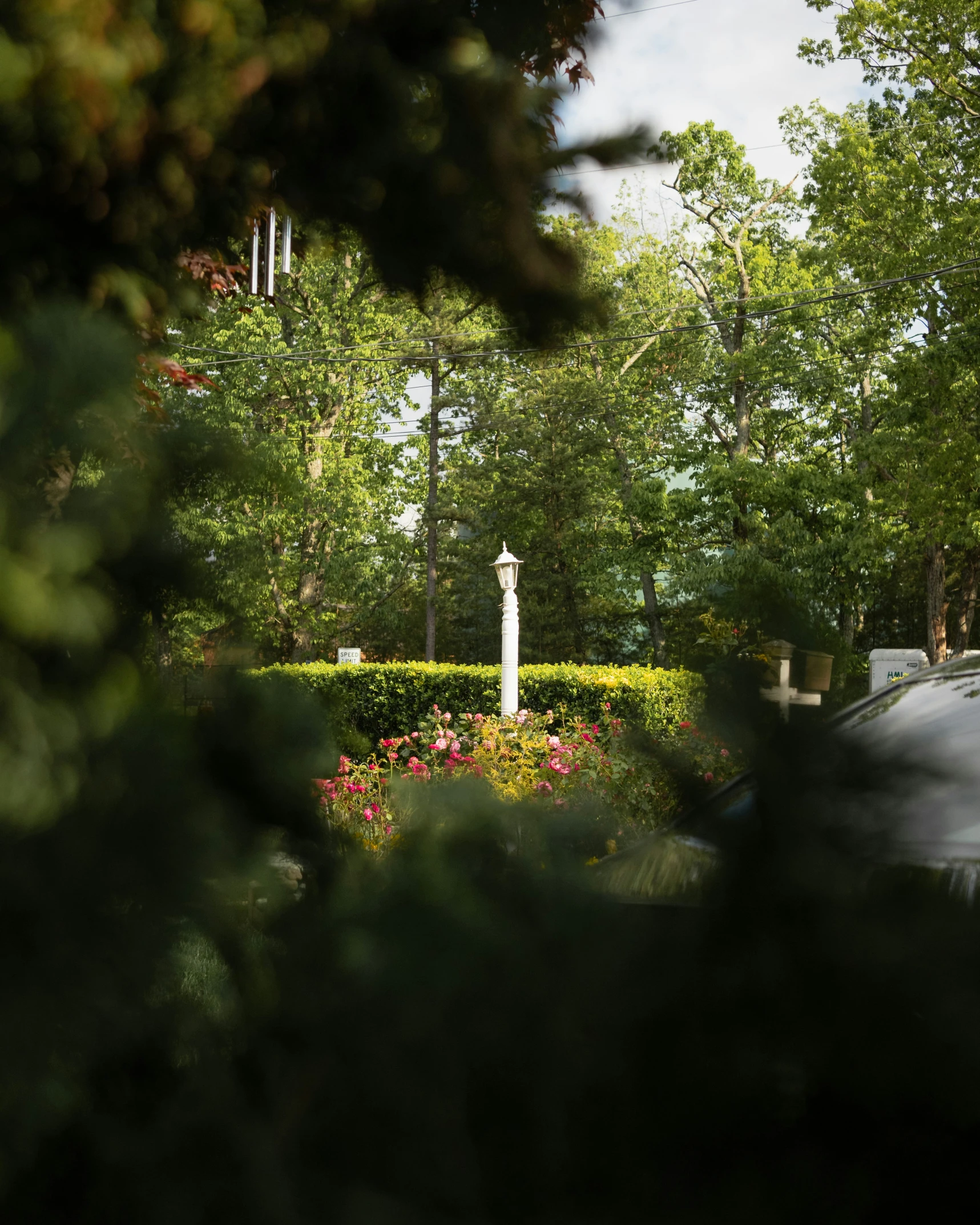 a white statue sitting in the middle of a lush green park