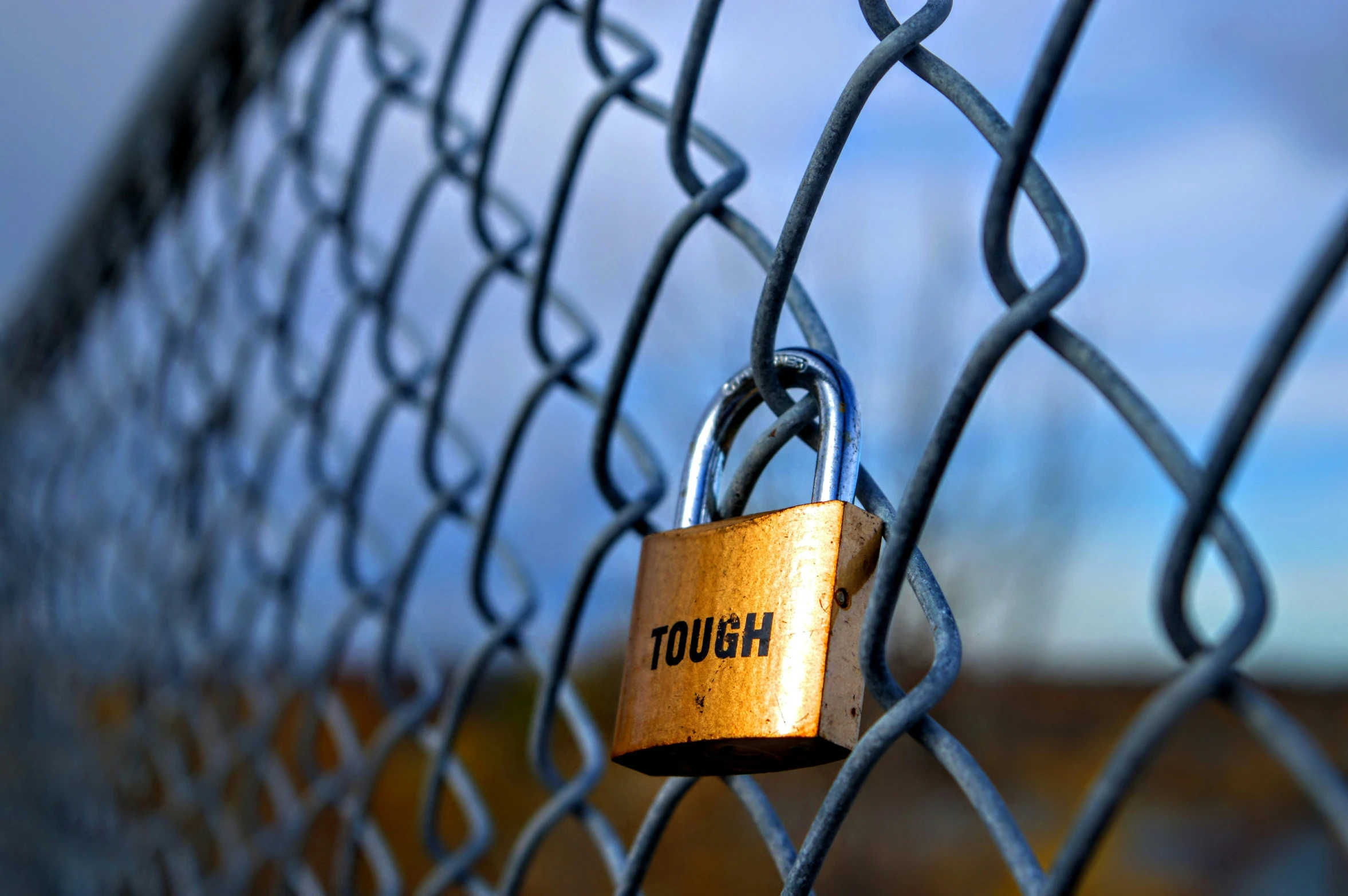 a close up of a metal fence with a lock