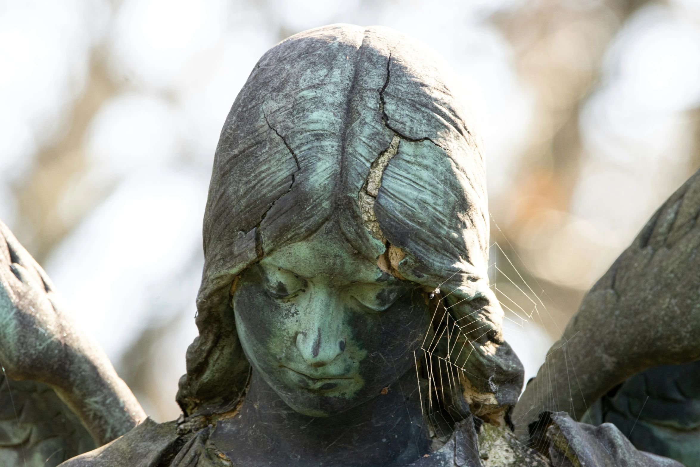 an image of a statue with a blue dress and a bird