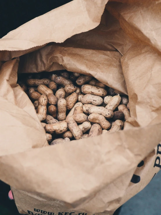 small bag filled with food next to a person