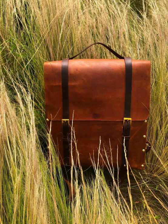 an old briefcase is nestled in the tall grass