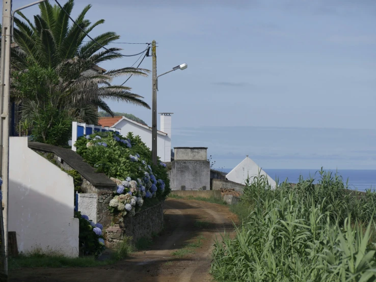 a dirt road between some houses near the ocean