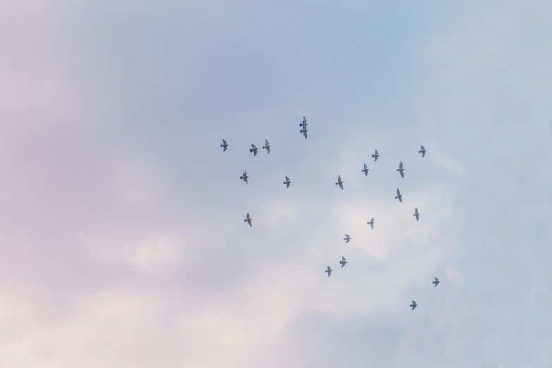 the nine planes are flying in formation under the blue sky