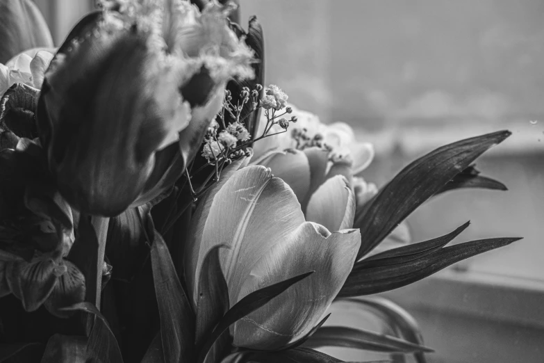 black and white pograph of flowers in a vase