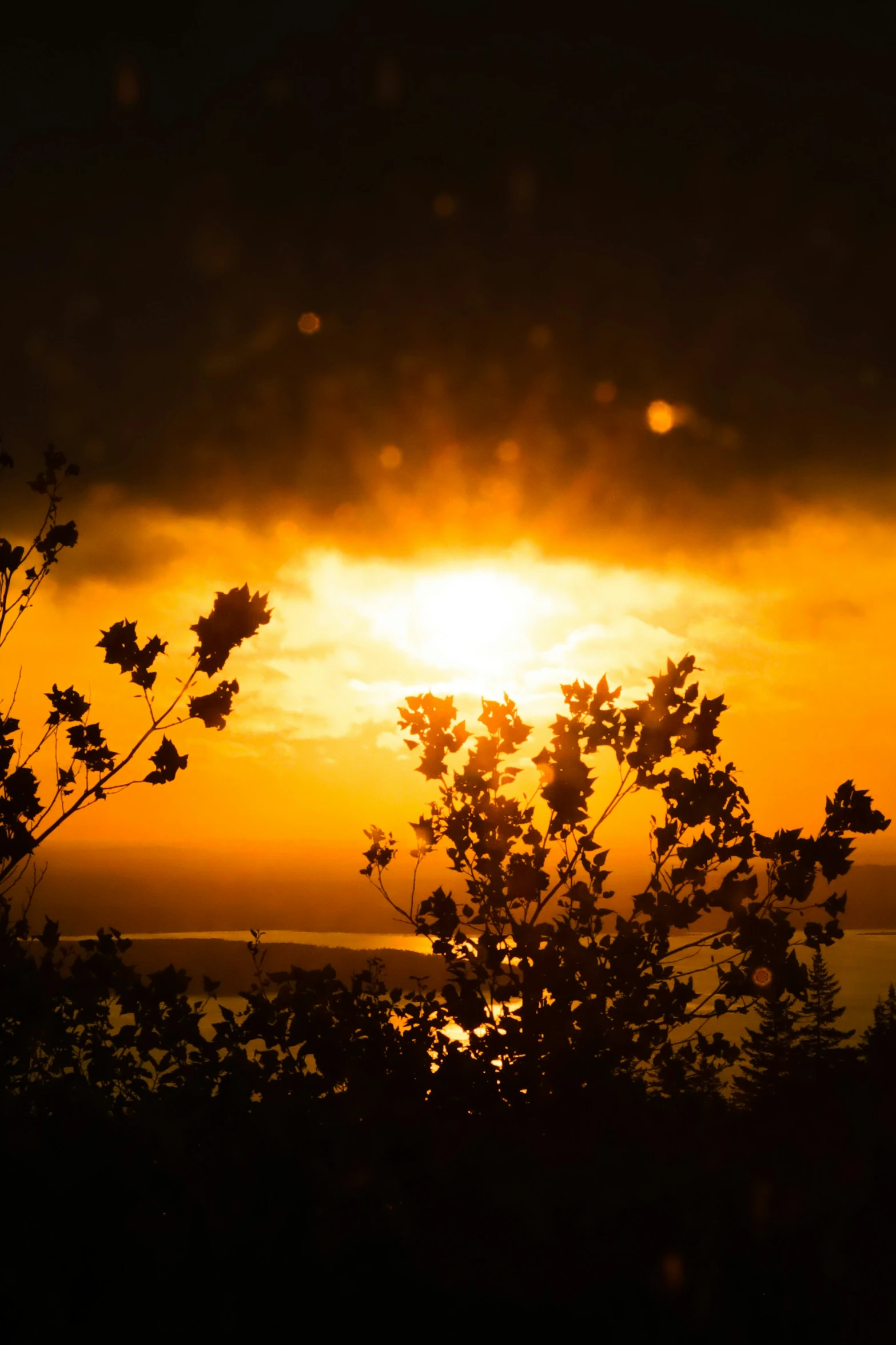 the sun is setting over a lake with trees silhouetted