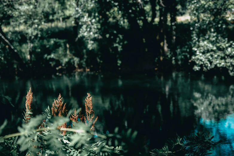 a picture of some water in a river