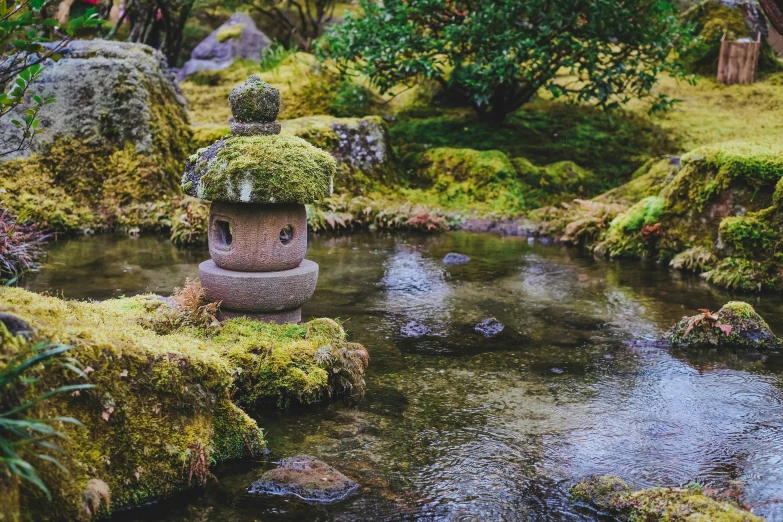 a river surrounded by lush green grass and rocks