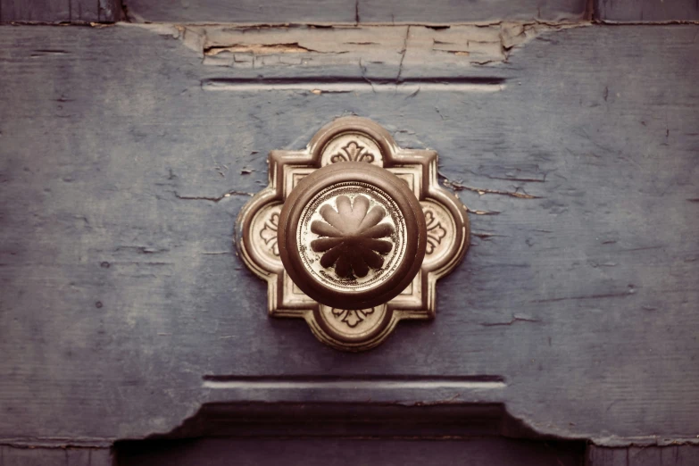 a door handle with an ornate ss finish on a blue door