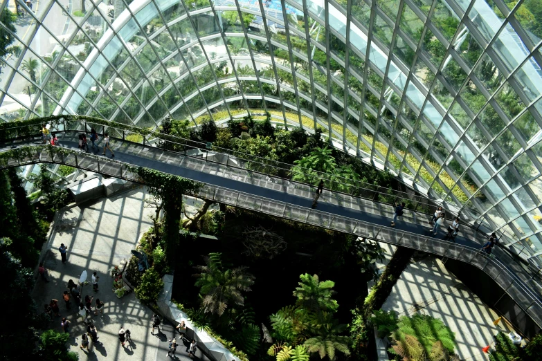 inside the cloud garden with people looking over the walkway