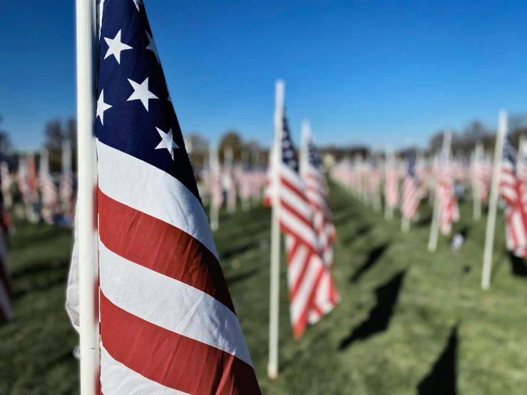 an american flag lined in rows with other american flags in the background